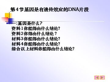 生物高中必修2第三章第四节课件2