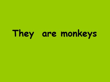 They're monkeys._课件1