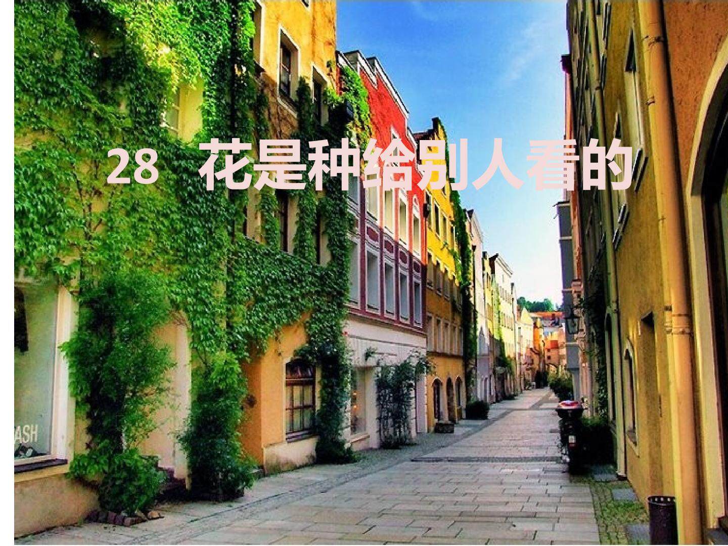 25 自己的花是让别人看的