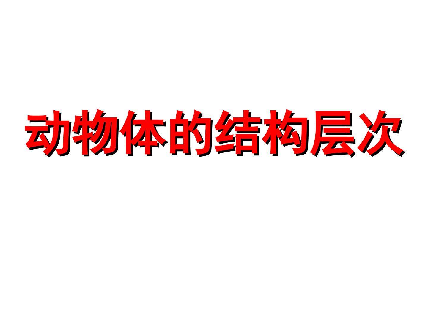 动物体的结构层次_课件1