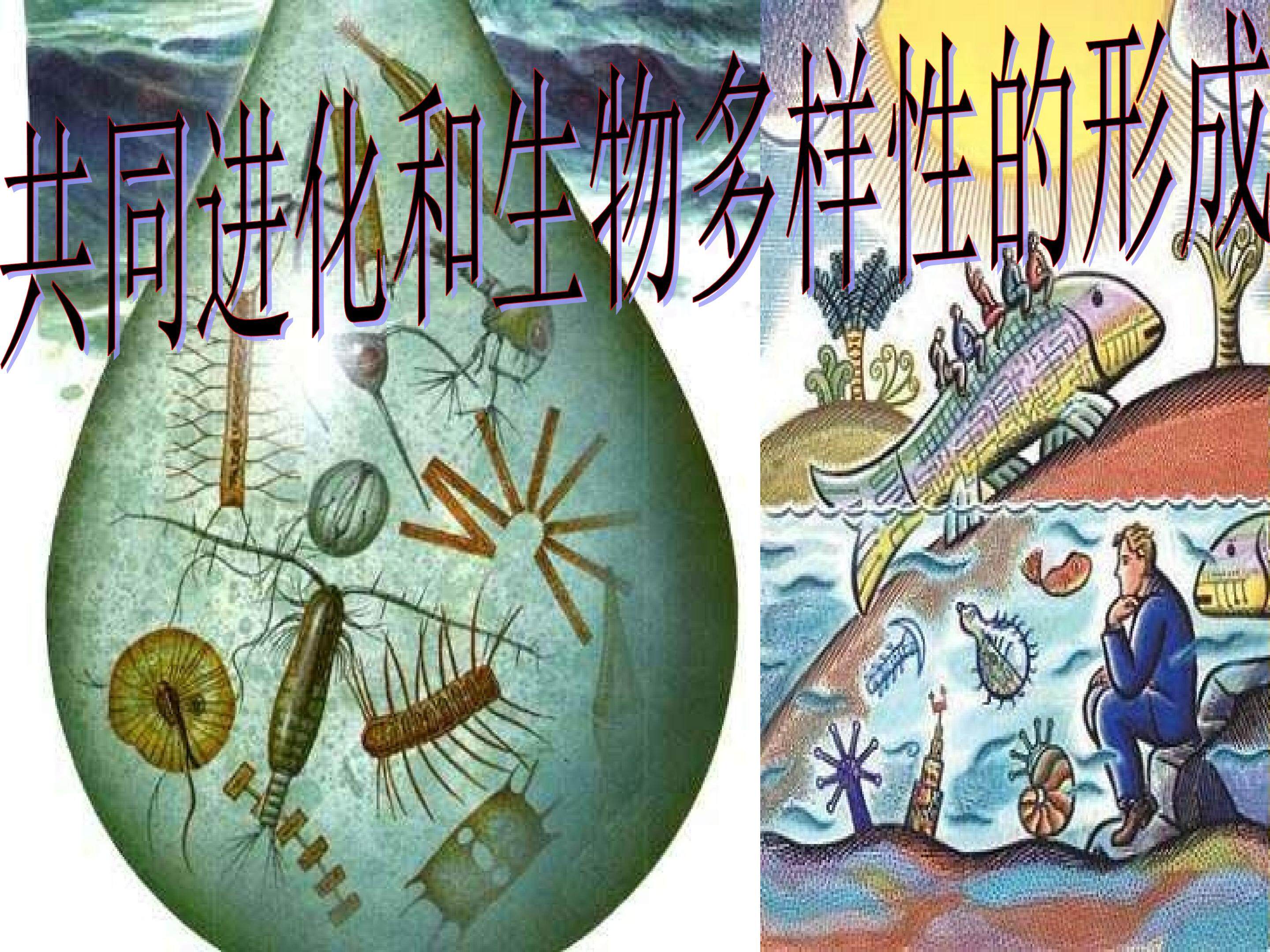 共同进化与生物多样性的形成_课件1