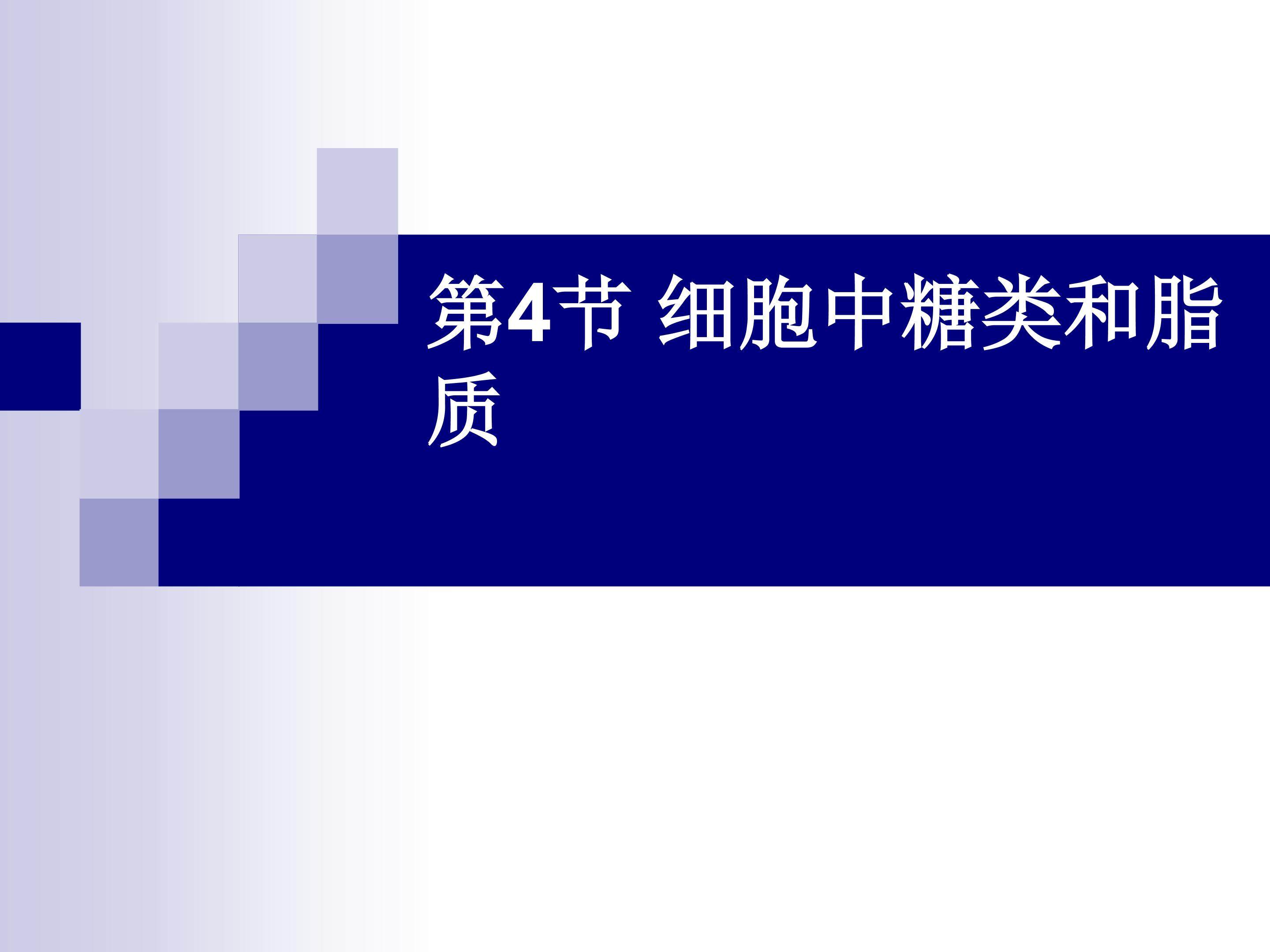细胞中糖类和脂质