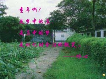 1 从百草园到三味书屋 