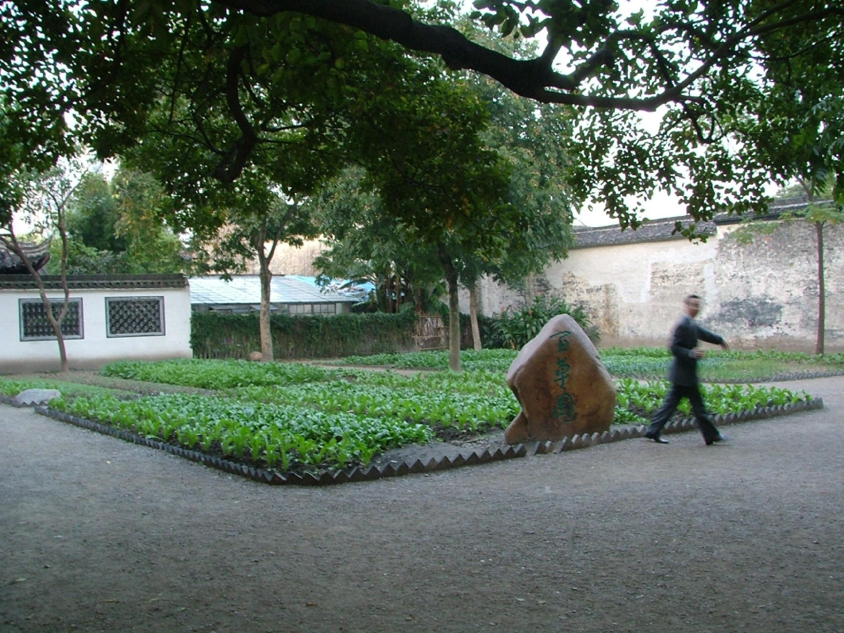 17.jpg