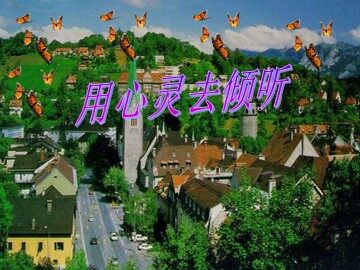 12* 用心灵去倾听 