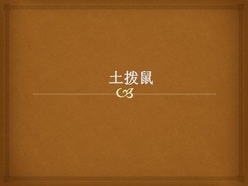 《土拨鼠》_课件1