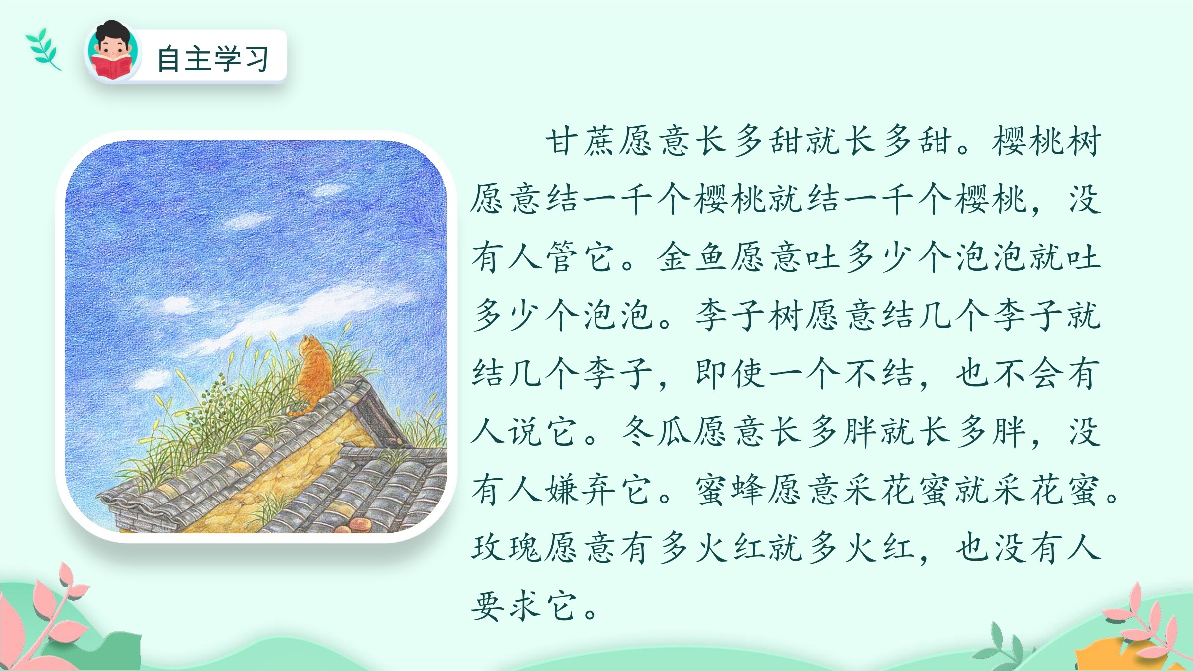 26