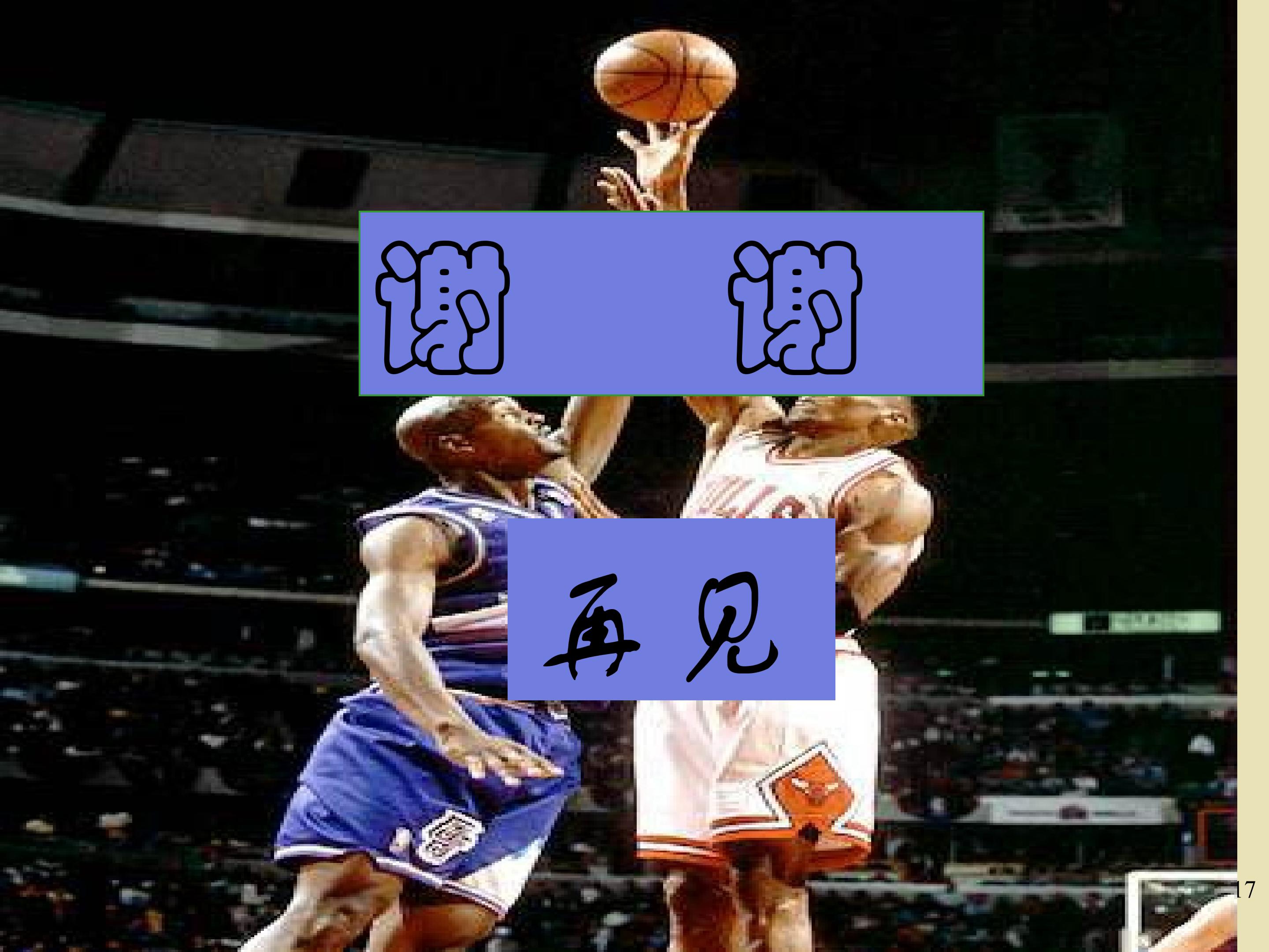 17.jpg