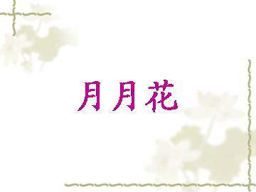 月月花_课件1