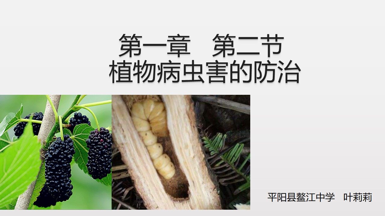 第一章 第二节 植物病虫害的防治