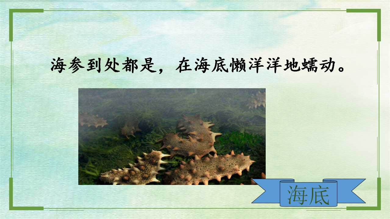 14.jpg