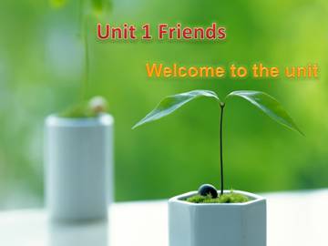 Unit 1 Friends_课件1