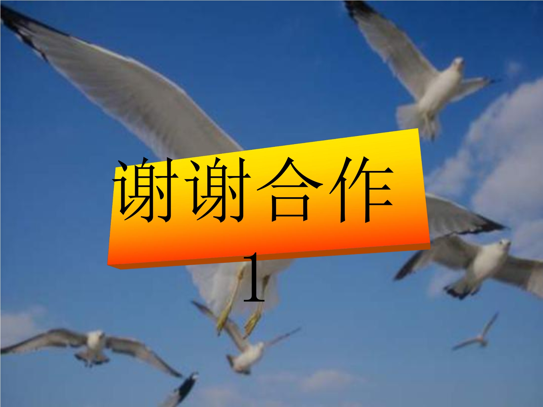 30.jpg