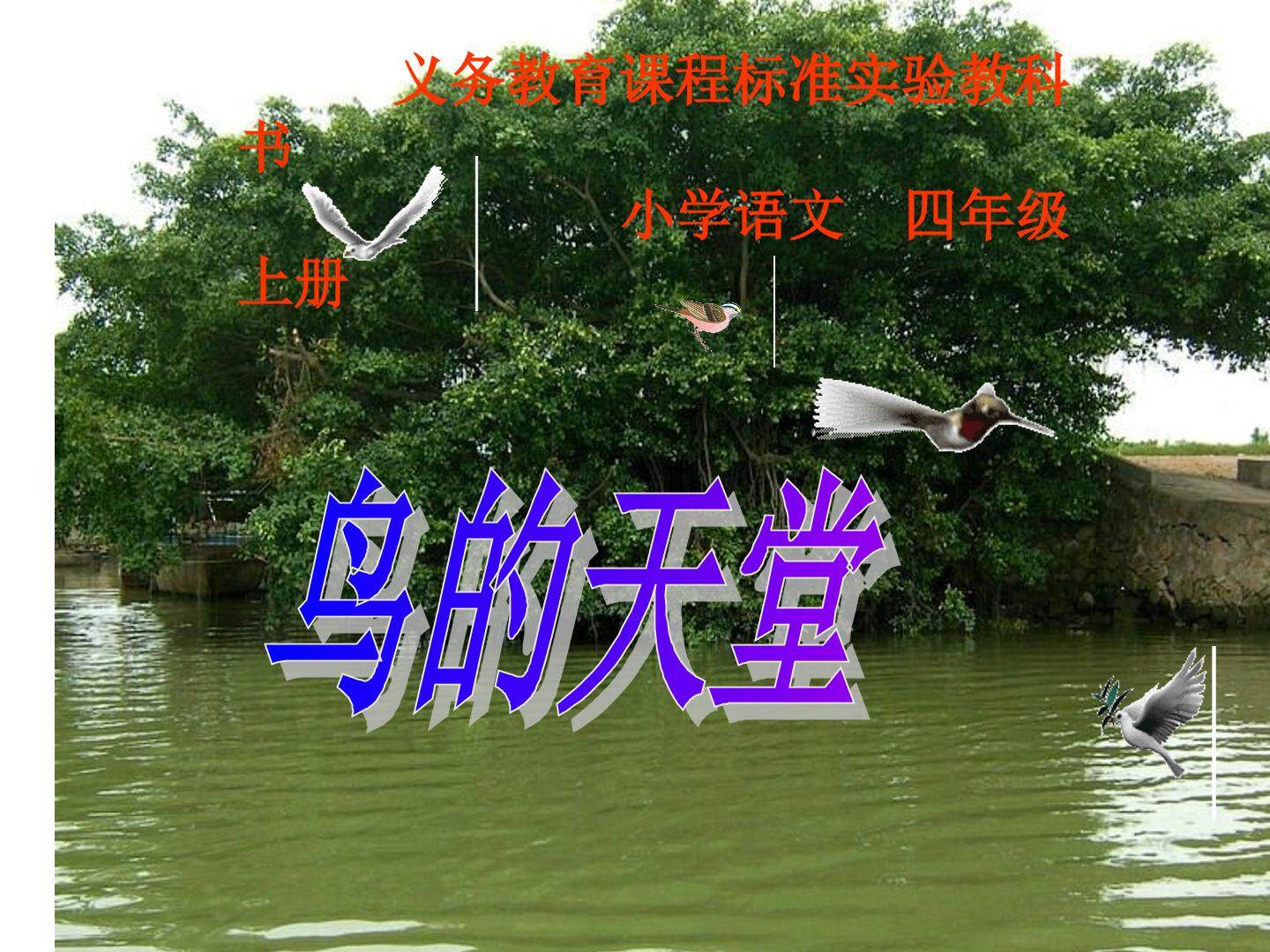 鸟的天堂