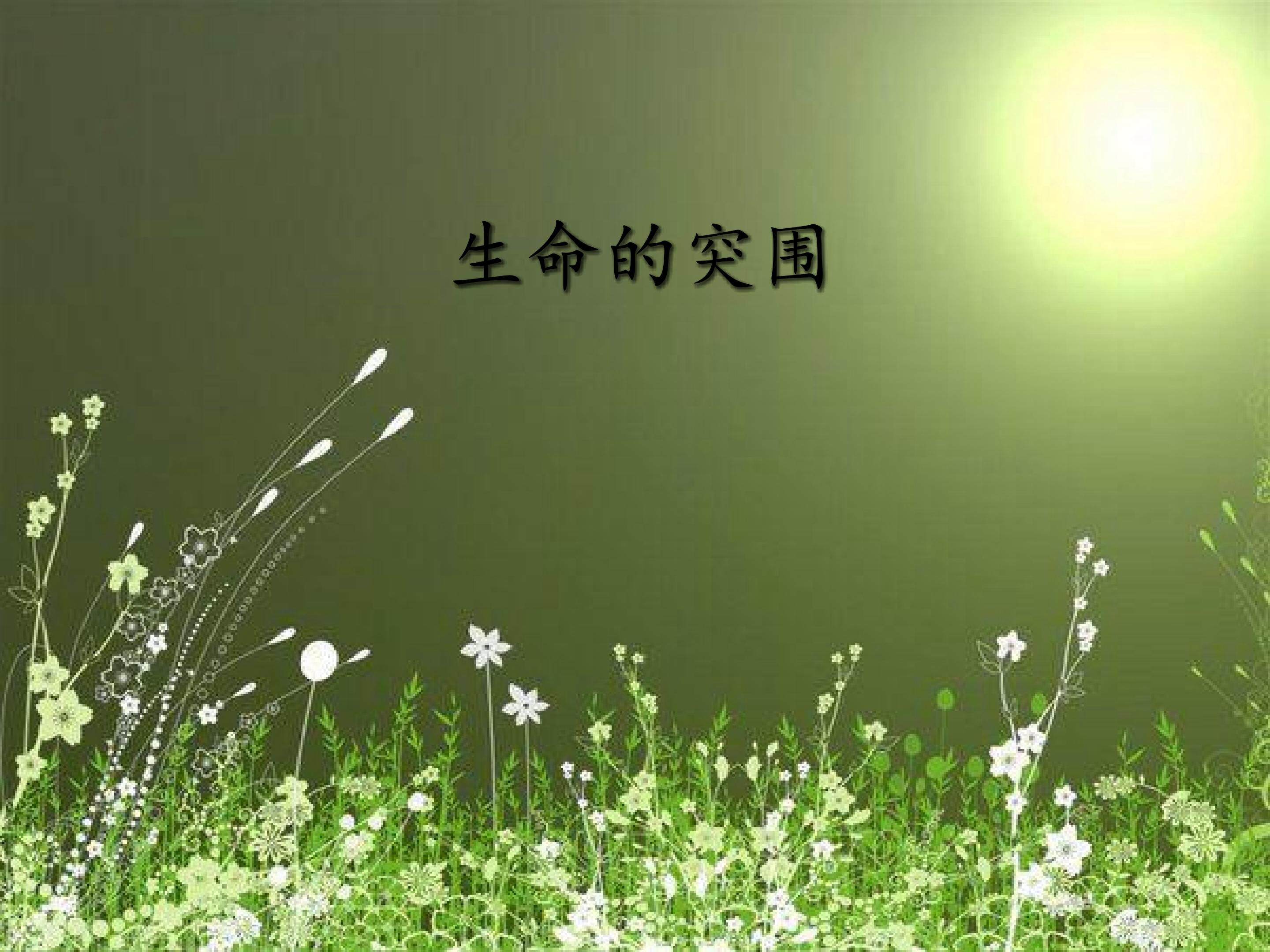 生命的突围_课件1