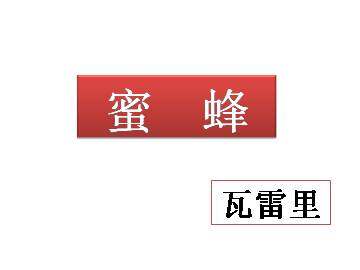 蜜蜂_课件1