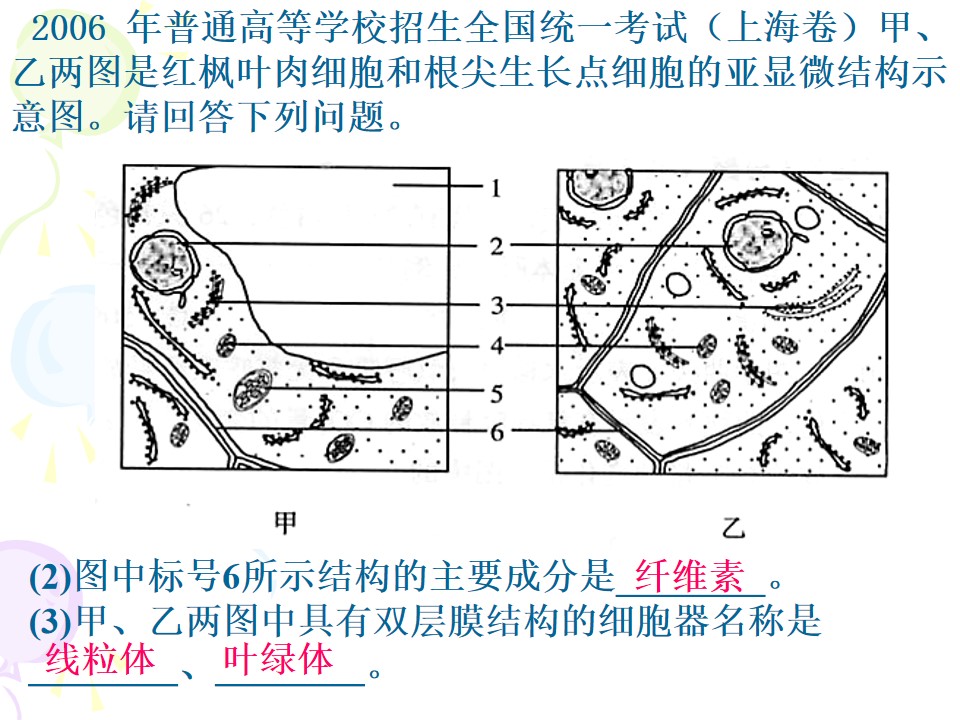55.jpg