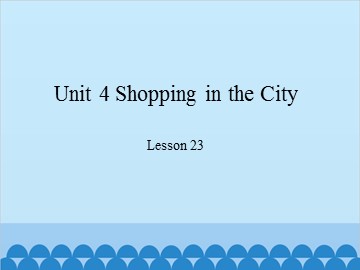 Unit 4  Shopping in the City Lesson 23_课件1