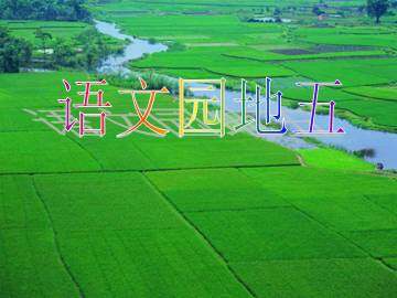 语文园地五_课件1