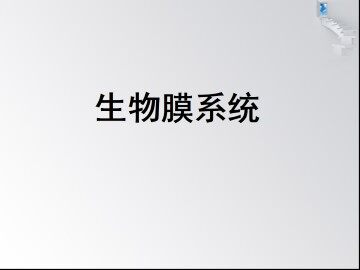 生物膜系统_课件1