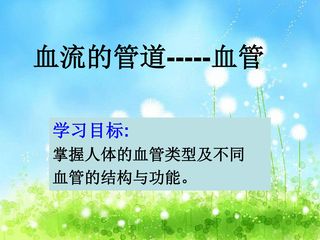 《血管》PPT