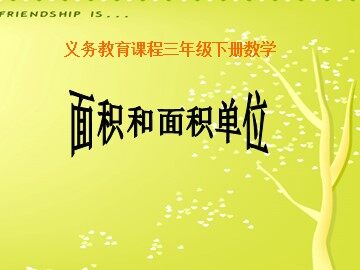 面积和面积单位