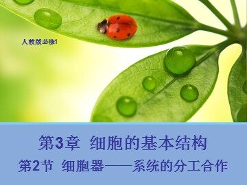 科学家的故事  细胞世界探微三例
