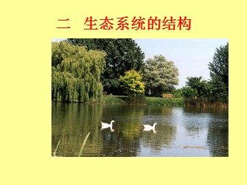 生物高中必修3第五章第一节课件11