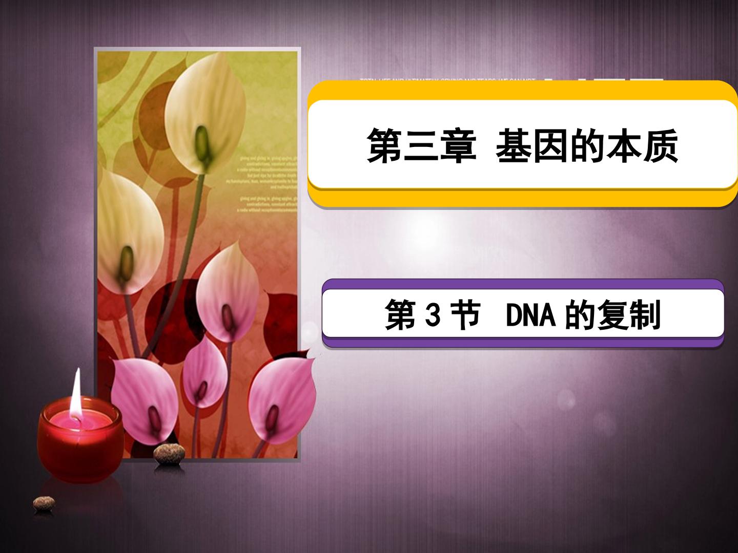 DNA的复制