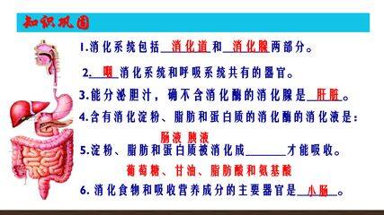第二章第三节 合理营养与食品卫生