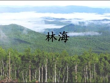 林海_课件1