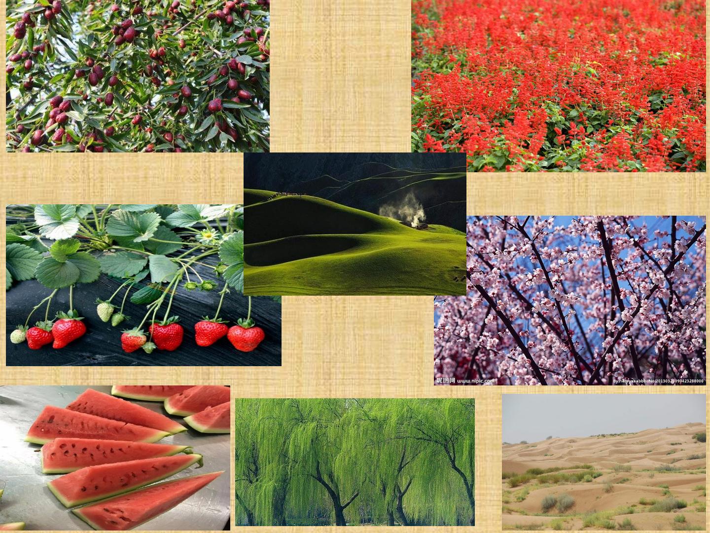 28.jpg