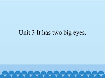 Unit 3 It has two big eyes._课件1