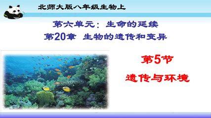 第五节:遗传与环境