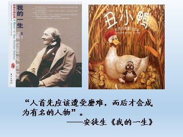 28 丑小鸭 
