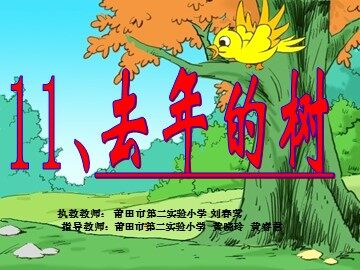 《去年的树》教学课件