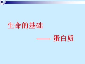 生命的基础----蛋白质_课件1