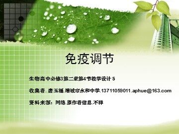 生物高中必修3第二章第四节课件5