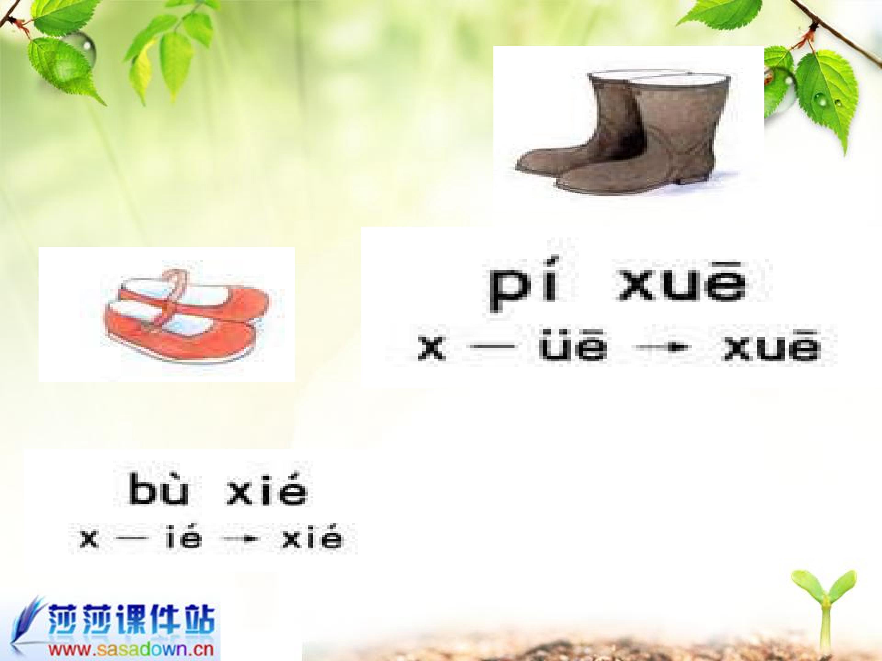 22.jpg