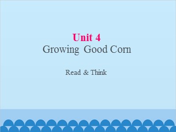 UNIT 4 Growing Good Corn Reading_课件1