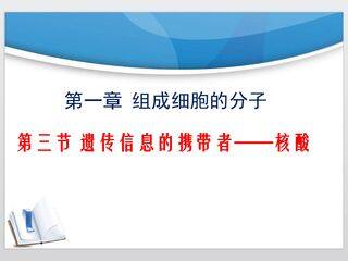 2.3遗传信息的携带者----核酸