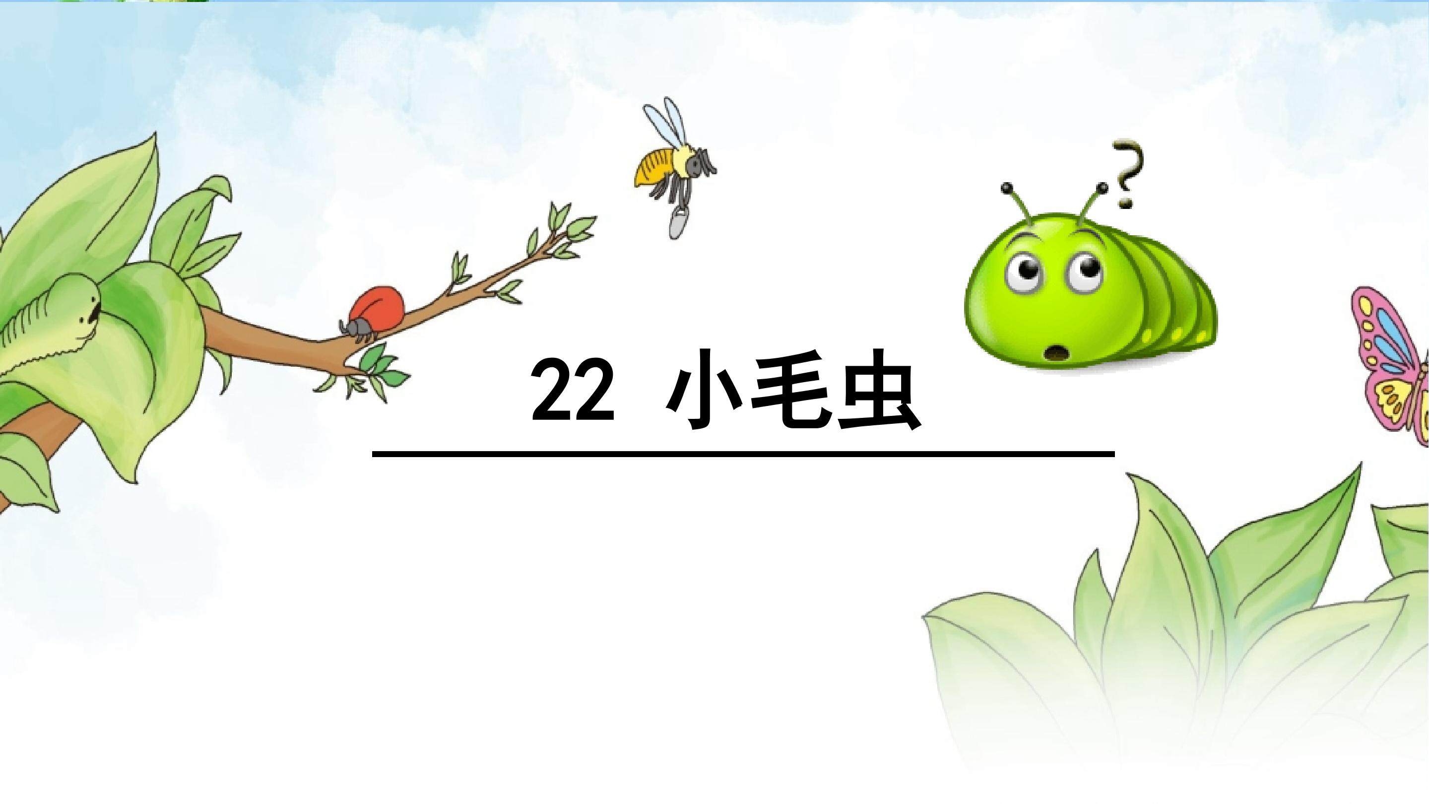 《小毛虫》