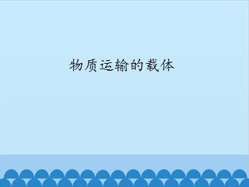 物质运输的载体_课件1