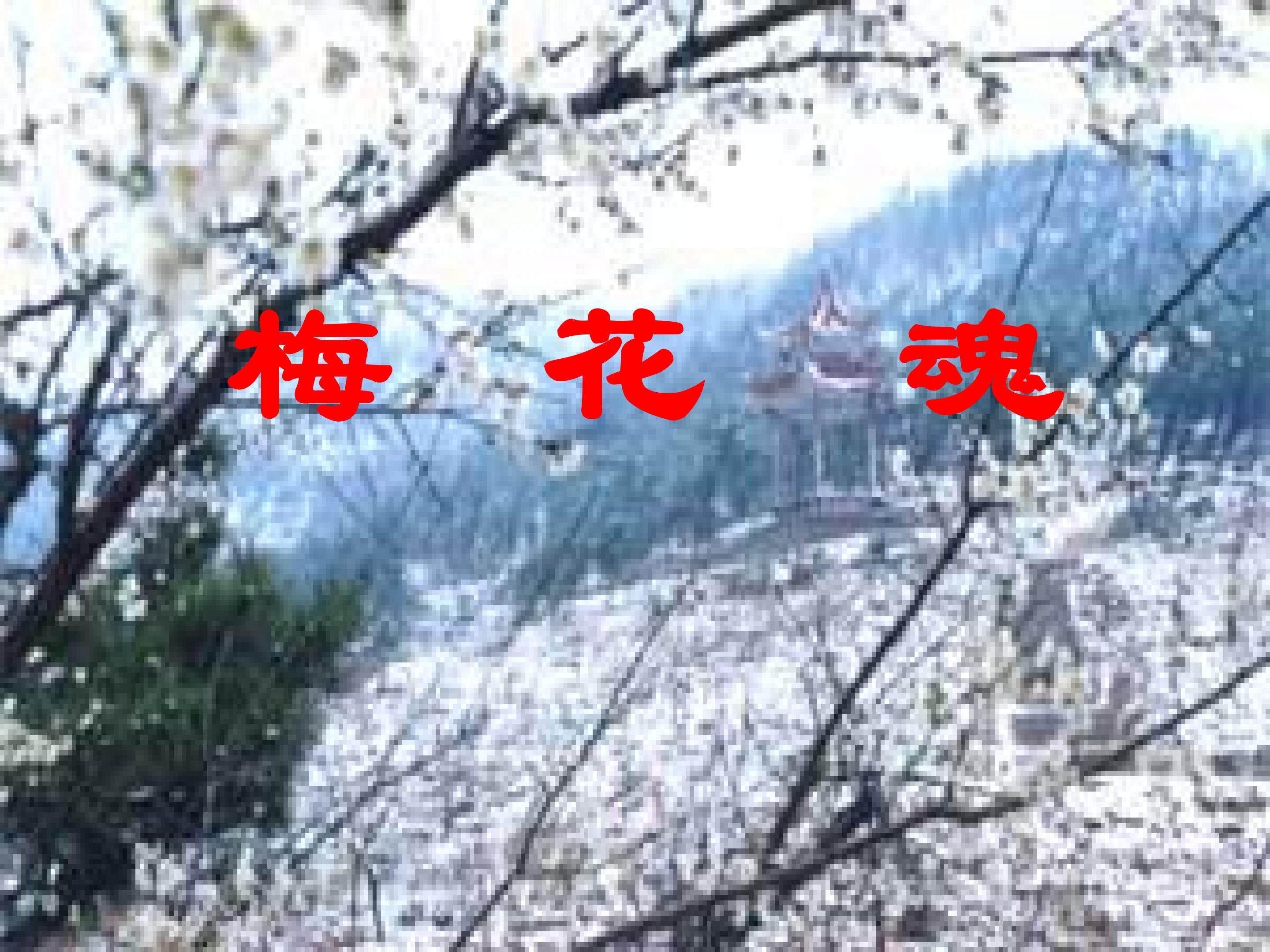 梅花魂