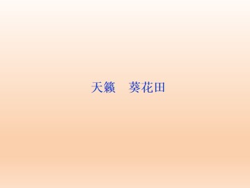  葵花田_课件1