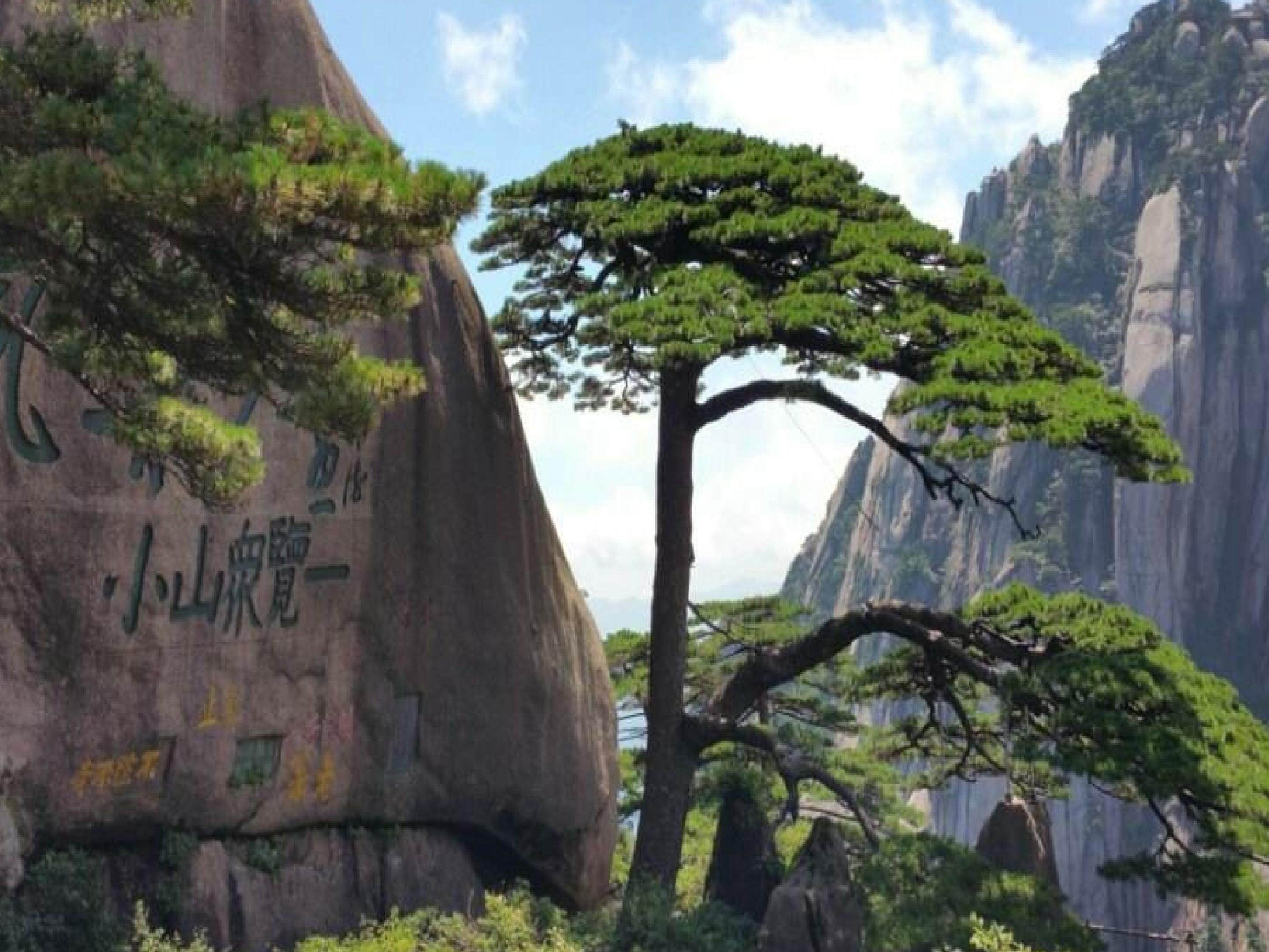 黄山奇石
