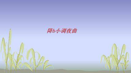 降b小调夜曲_课件1