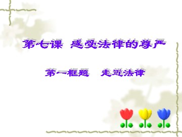 思想品德七年级下册第四单元第七课第一框的教学课件