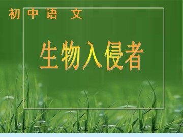19 * 生物入侵者