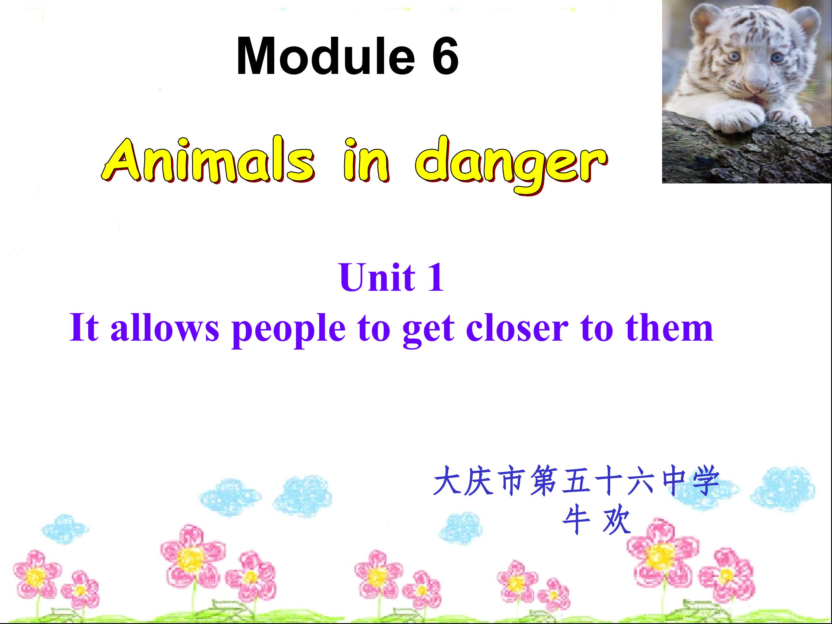 Module6 Animals in danger Unit1